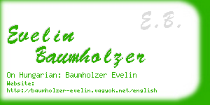 evelin baumholzer business card